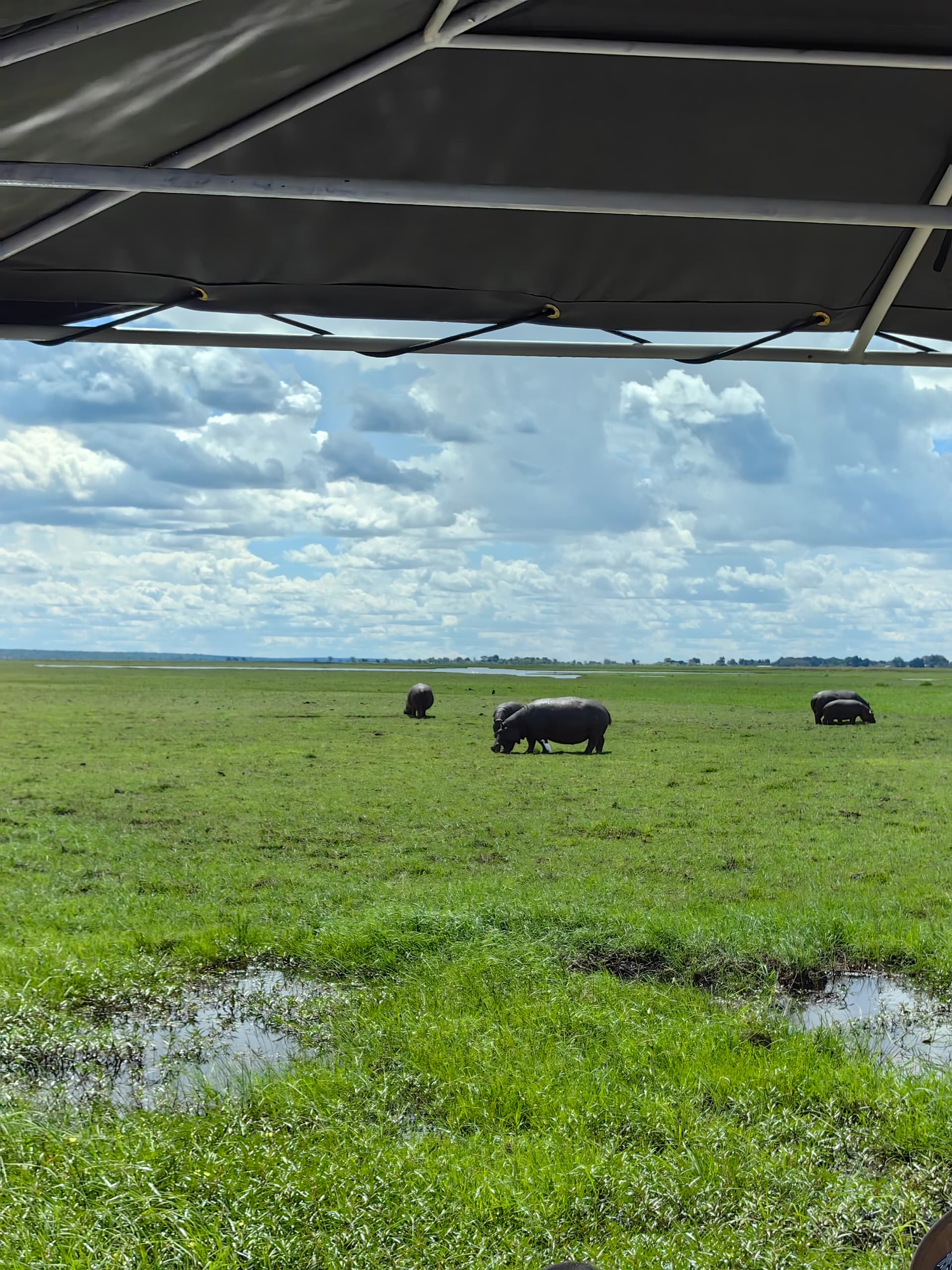 Safari packing list
